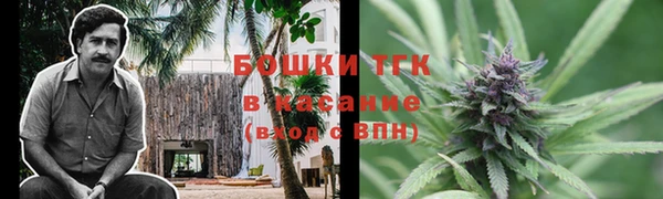 спайс Алзамай