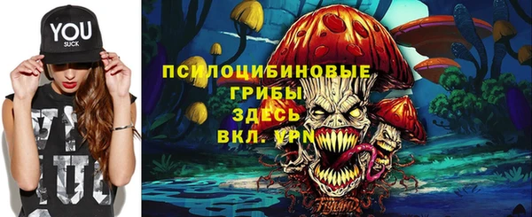 спайс Алзамай