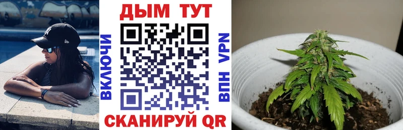 Конопля Ganja  блэк спрут   Буй 
